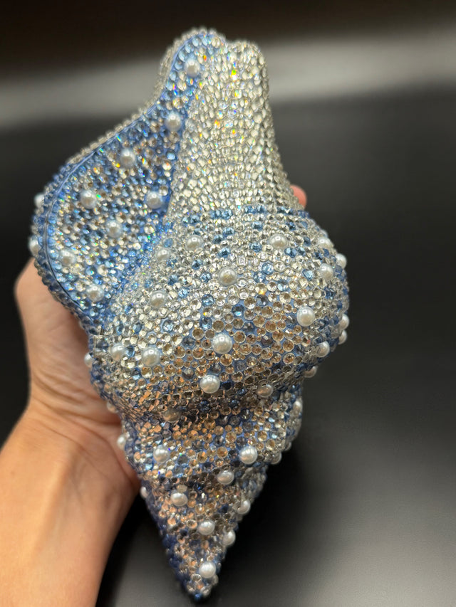 Conch Shell Baby Blue