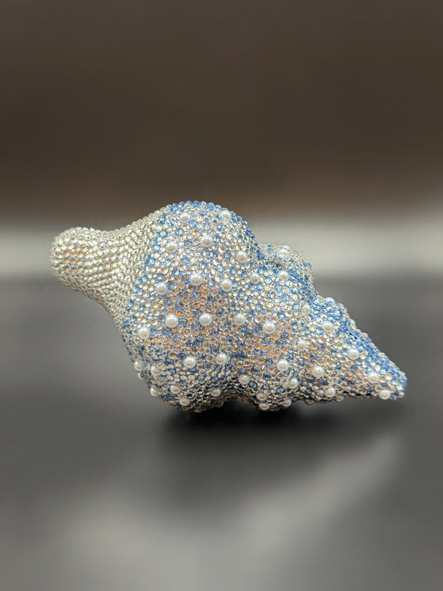 Conch Shell Baby Blue