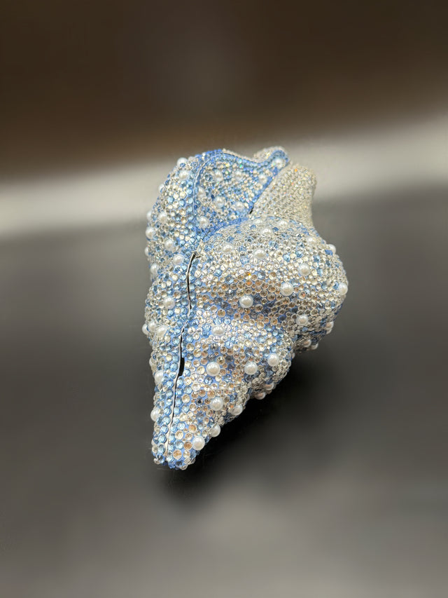 Conch Shell Baby Blue