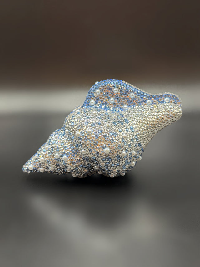 Conch Shell Baby Blue