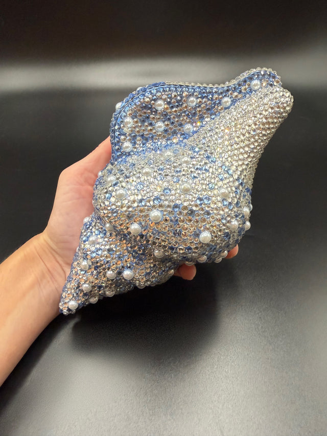 Conch Shell Baby Blue