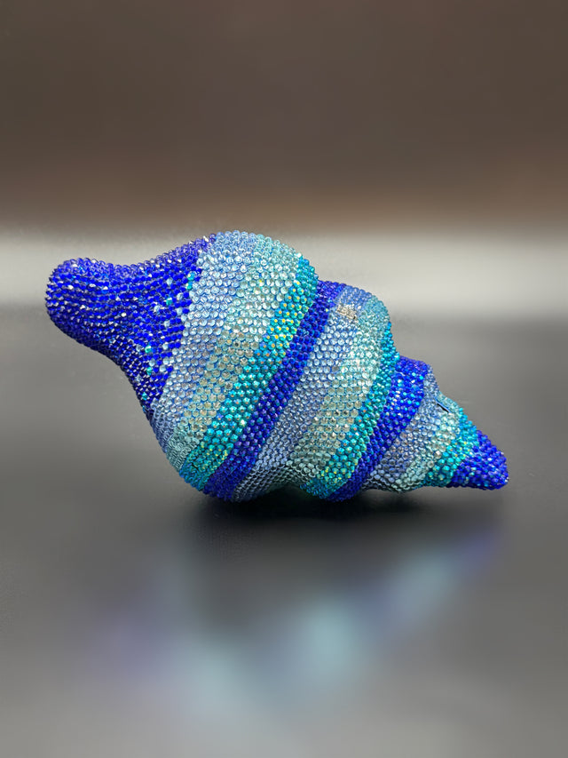 Conch Shell Blue