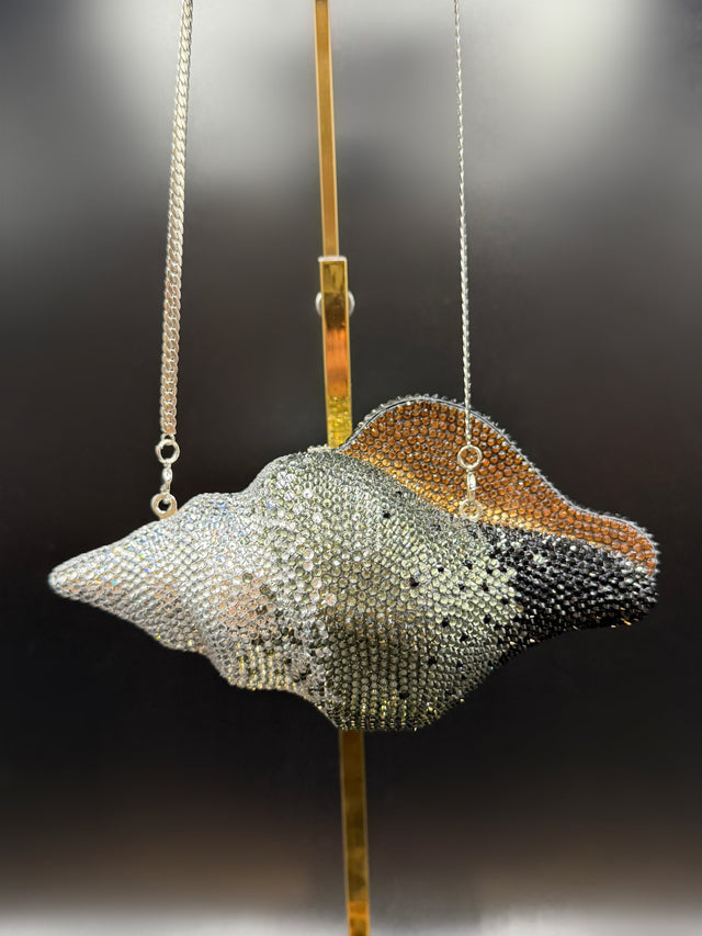 Conch Shell Grey