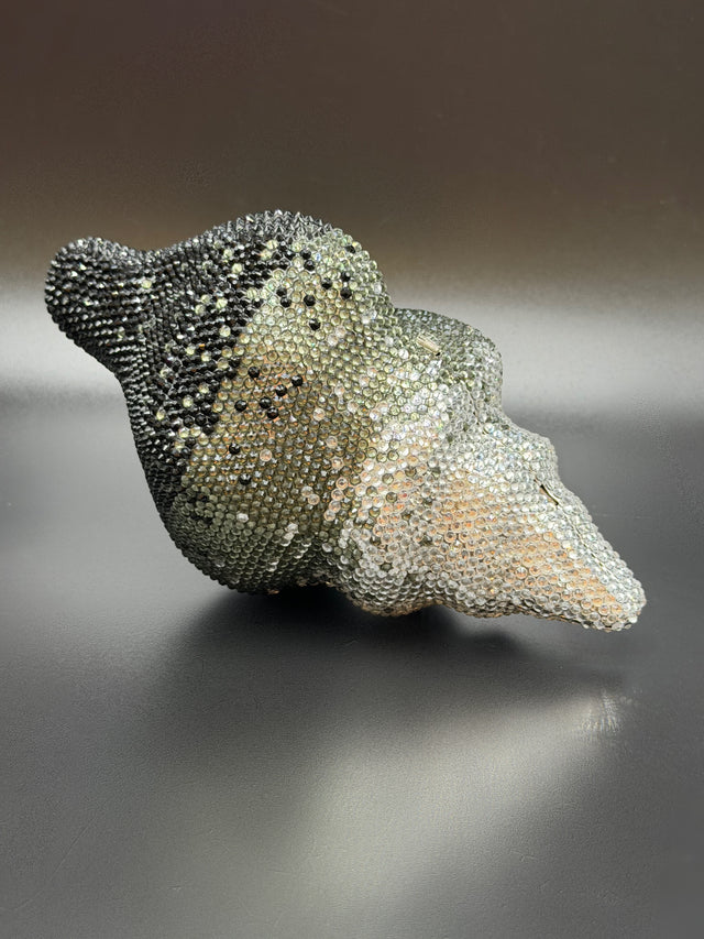Conch Shell Grey