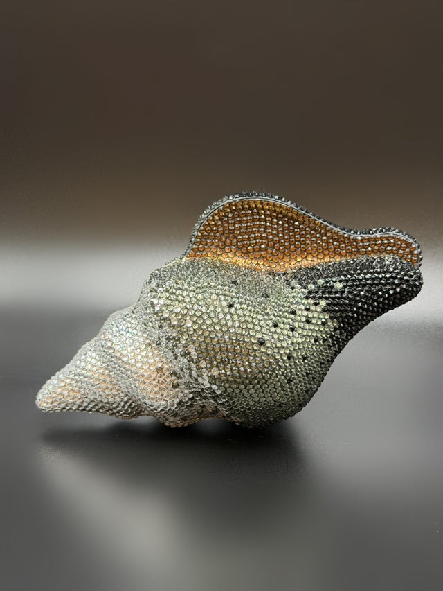 Conch Shell Grey