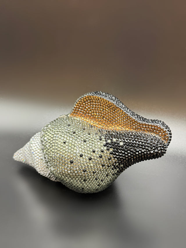 Conch Shell Grey