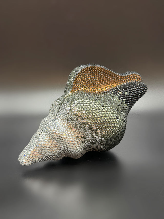 Conch Shell Grey