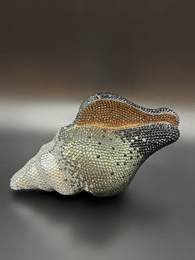 Conch Shell Grey