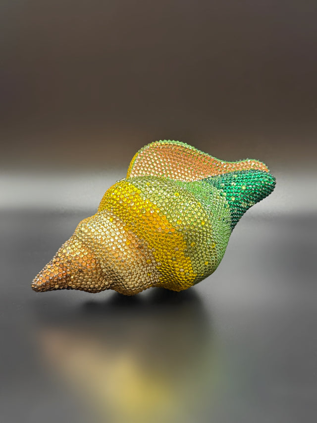 Conch Shell Green
