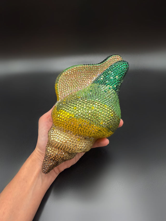 Conch Shell Green