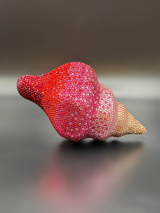 Conch Shell Pink