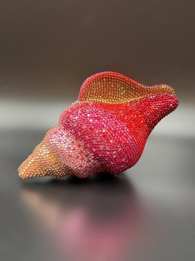 Conch Shell Pink