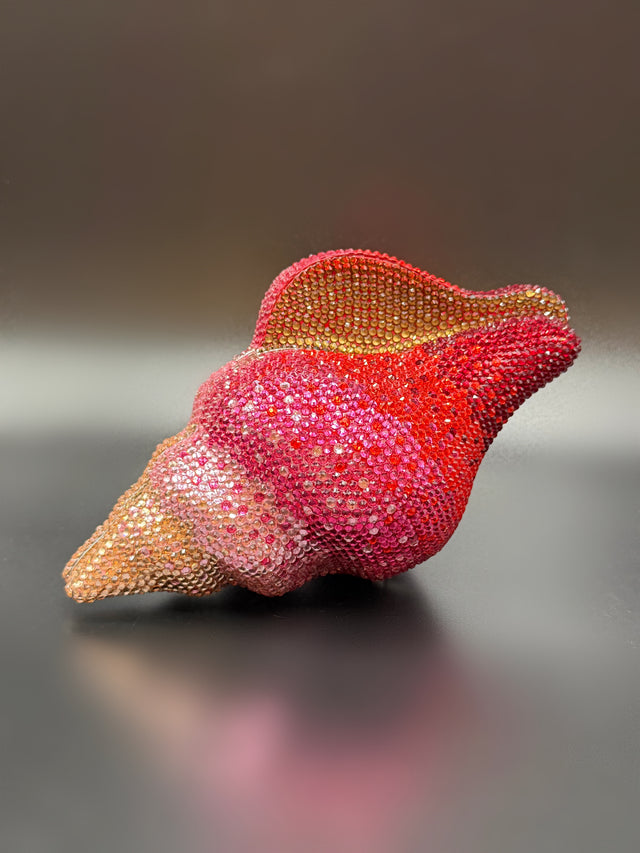 Conch Shell Pink