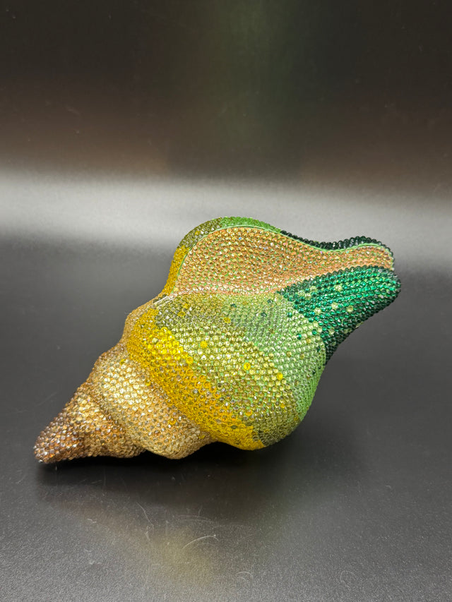 Conch Shell Green